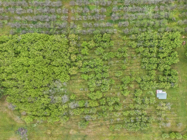 7ACRES W Tyler Rd, Mears, MI 49436