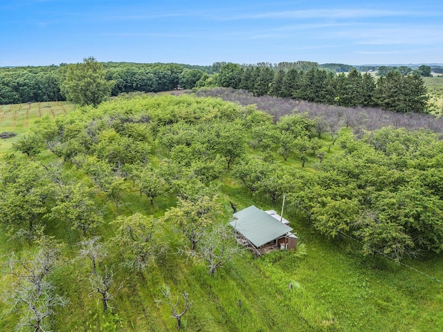 7ACRES W Tyler Rd, Mears, MI 49436