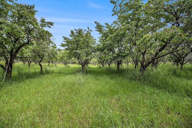 7ACRES W Tyler Rd, Mears, MI 49436