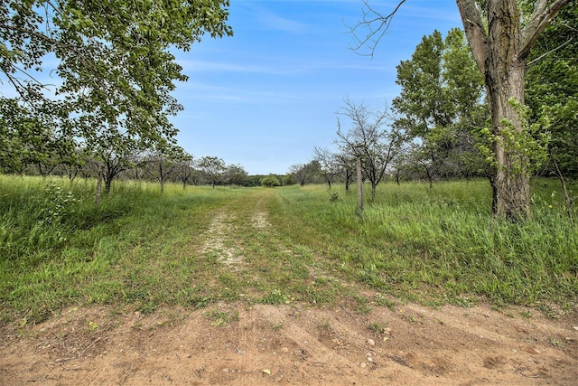 7ACRES W Tyler Rd, Mears, MI 49436