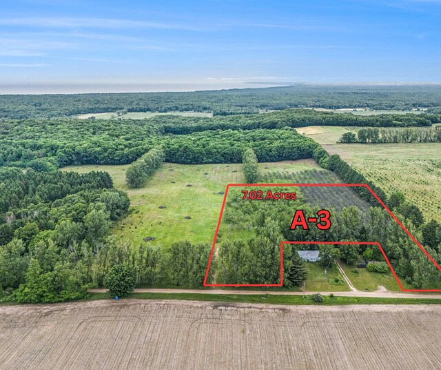 7ACRES W Tyler Rd, Mears, MI 49436
