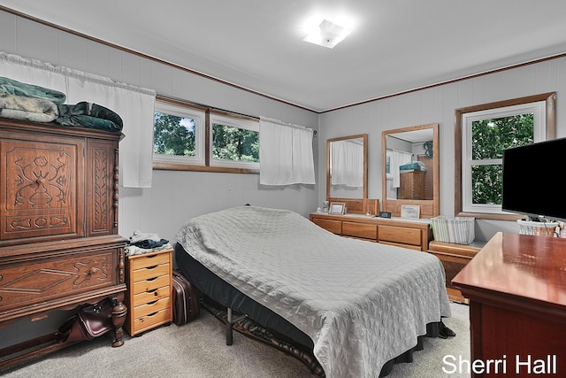 11956 Berrigan Ave NE, Cedar Springs, MI 49319 - bedroom featuring carpet flooring, multiple windows, crown molding, and a decorative wall