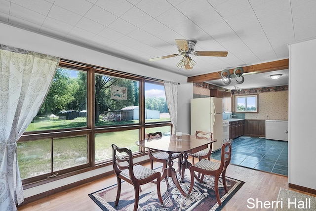 11956 Berrigan Ave NE, Cedar Springs, MI 49319 - dining area featuring wallpapered walls, light wood-style flooring, ceiling fan, a wainscoted wall, and beam ceiling