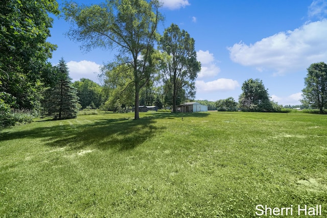 11956 Berrigan Ave NE, Cedar Springs, MI 49319 - view of grassy yard featuring an outbuilding