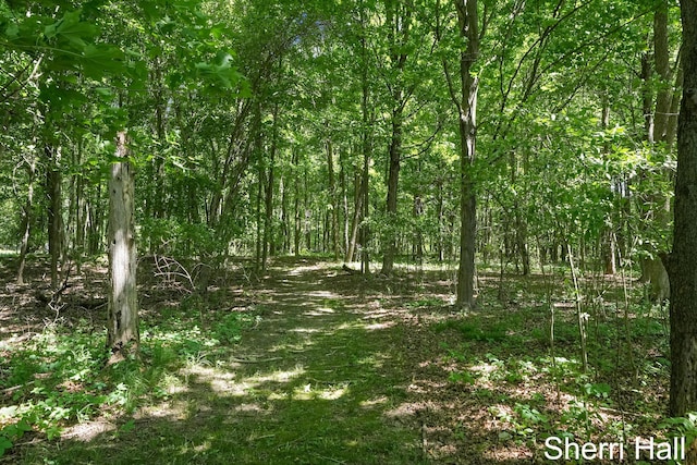 11956 Berrigan Ave NE, Cedar Springs, MI 49319 - view of tree filled area