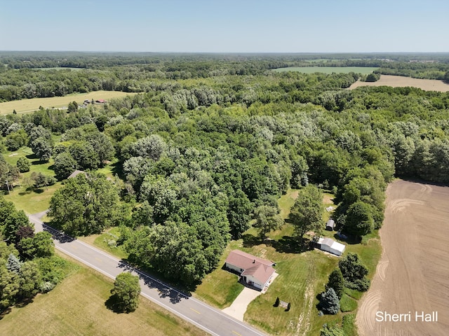 11956 Berrigan Ave NE, Cedar Springs, MI 49319 - aerial view of a heavily wooded area