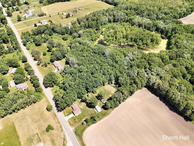 11956 Berrigan Ave NE, Cedar Springs, MI 49319 - drone / aerial view of a heavily wooded area