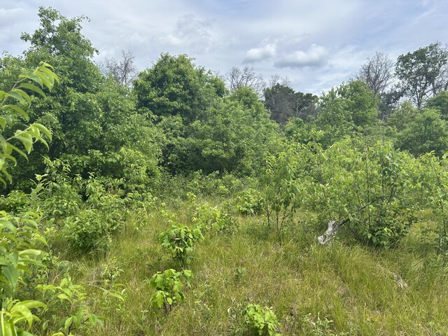 V/L E 38th St, Idlewild, MI 49642 - photo 2