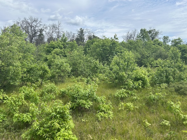 V/L E 38th St, Idlewild, MI 49642 - photo 3