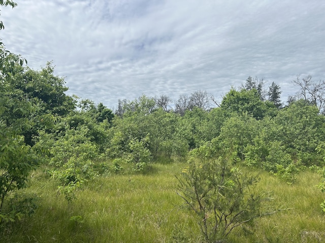 V/L E 38th St, Idlewild, MI 49642 - photo 4