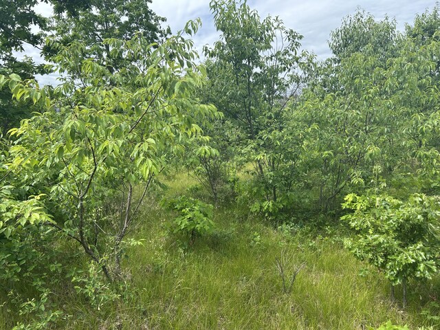V/L E 38th St, Idlewild, MI 49642 - photo 5