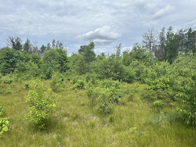 V/L E 38th St, Idlewild, MI 49642 - photo 6