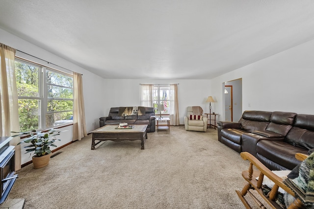 11486 Halsey Rd, Holly, MI 48442 - photo 9