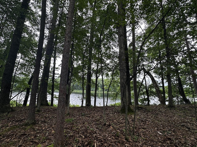 5133 N Waite Dr, Irons, MI 49644