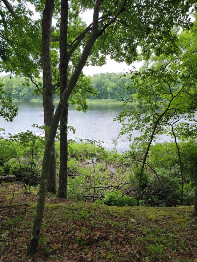 5133 N Waite Dr, Irons, MI 49644