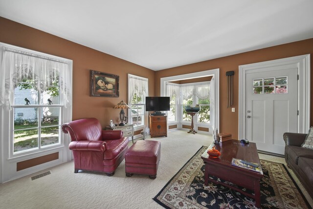 120 Michigan St, Brooklyn, MI 49230 - photo 26