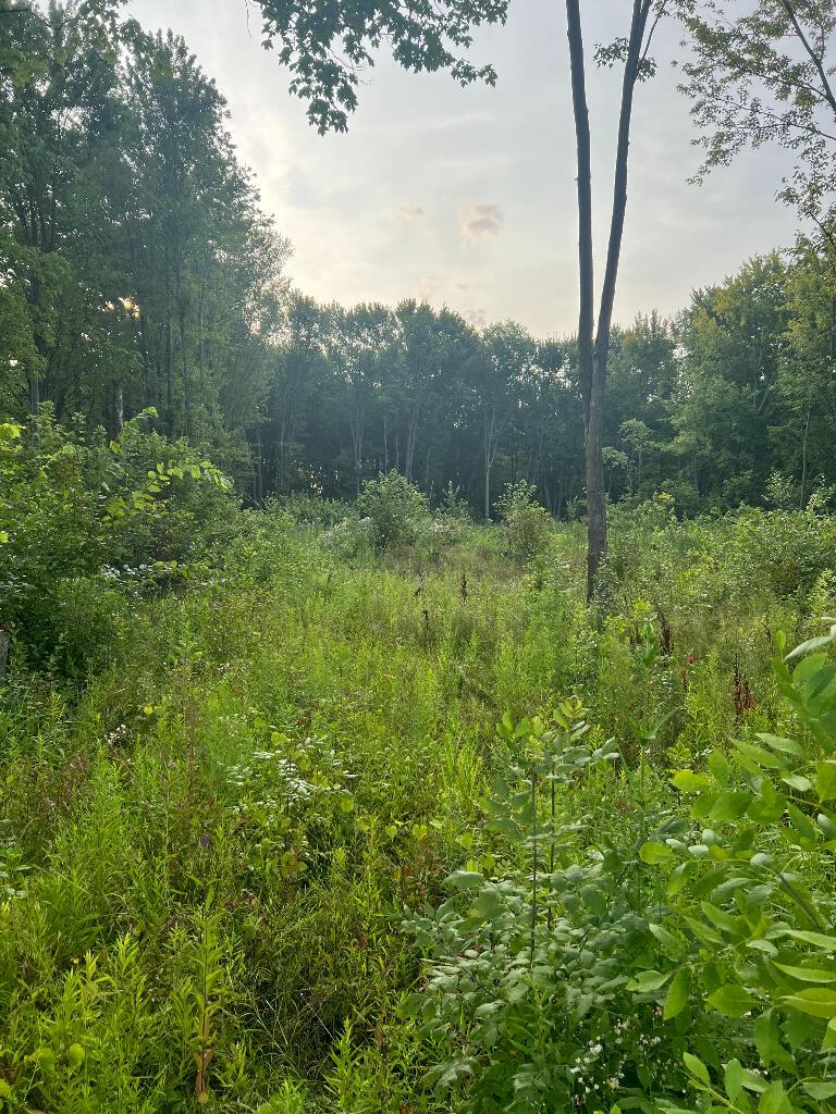 51760 S Foster Rd, Chesterfield, MI 48047
