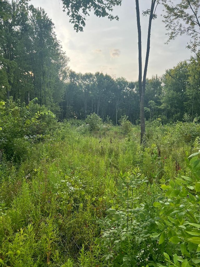 51760 S Foster Rd, Chesterfield, MI 48047