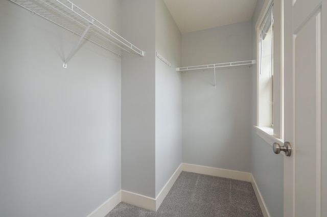 5661 Attleberry Ave, Kalamazoo, MI 49009 - photo 27