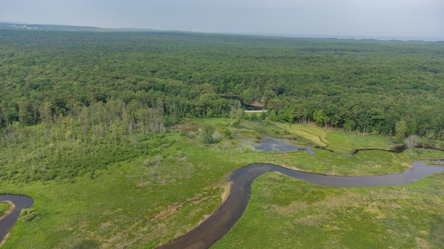7.5 Wayne Ave, Pentwater, MI 49449
