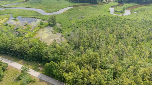 7.5 Wayne Ave, Pentwater, MI 49449