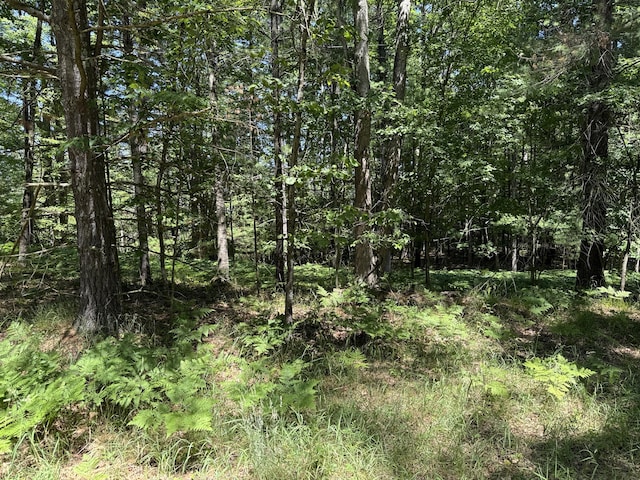 7.5 Wayne Ave, Pentwater, MI 49449