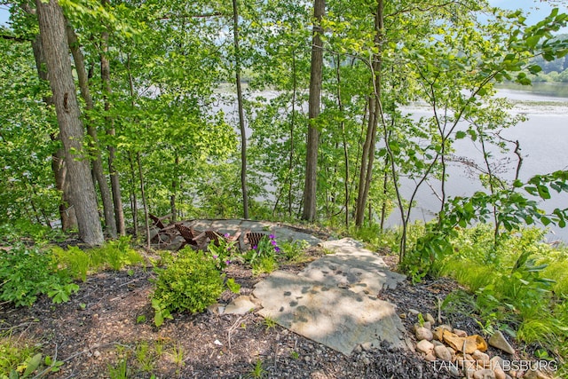 1663 Fairview Dr, Allegan, MI 49010 - photo 58