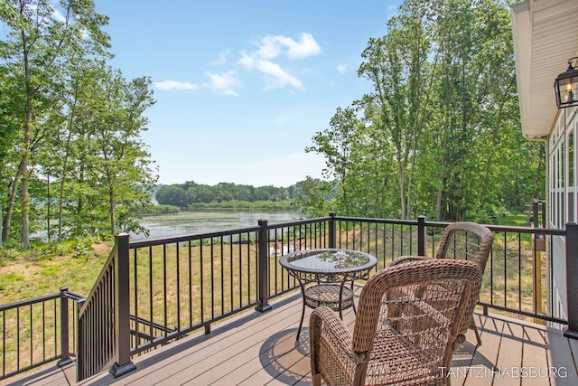 1663 Fairview Dr, Allegan, MI 49010 - photo 60