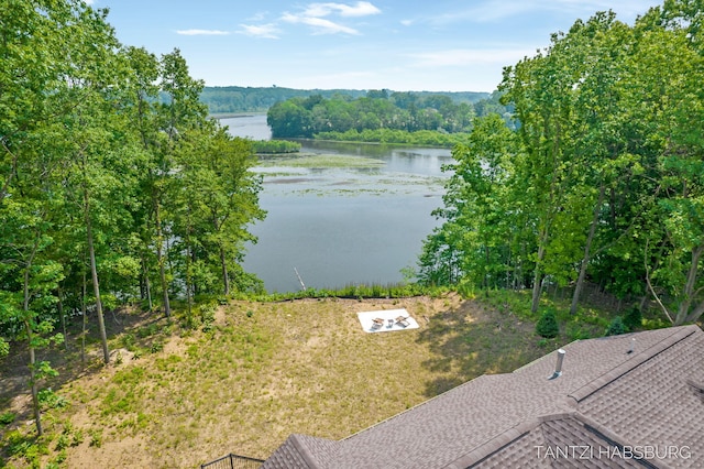 1663 Fairview Dr, Allegan, MI 49010 - photo 62