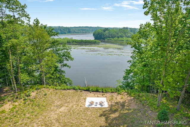 1663 Fairview Dr, Allegan, MI 49010 - photo 63