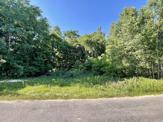 V/L E Shore Dr, Stanton, MI 48888