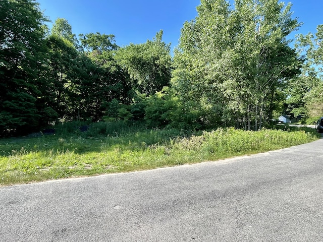 V/L E Shore Dr, Stanton, MI 48888