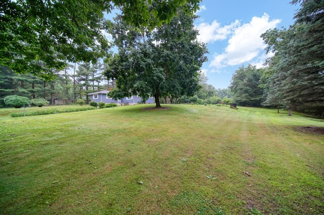 5815 Jordan Rd, Jackson, MI 49201 - photo 41