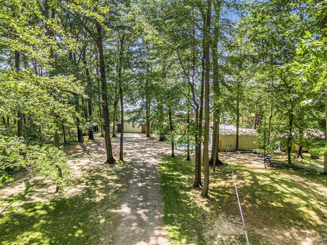 50180 County Road 384, Grand Junction, MI 49056 - photo 25