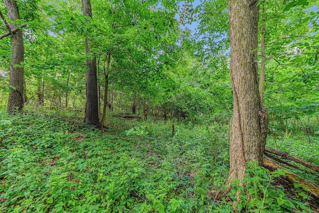 V/L Avenue C, Springfield, MI 49037 - photo 1