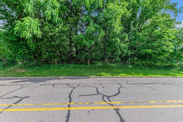 V/L Avenue C, Springfield, MI 49037 - photo 3