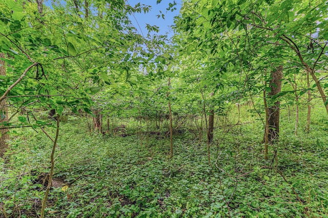 V/L Avenue C, Springfield, MI 49037 - photo 5