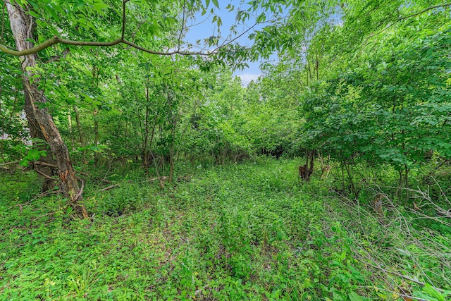 V/L Avenue C, Springfield, MI 49037 - photo 6