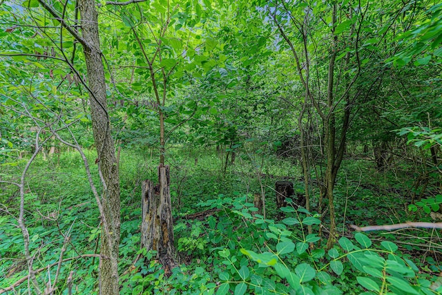 V/L Avenue C, Springfield, MI 49037 - photo 8