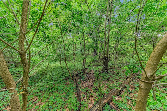 V/L Avenue C, Springfield, MI 49037 - photo 9