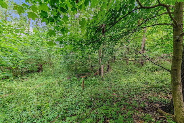 V/L Avenue C, Springfield, MI 49037 - photo 10