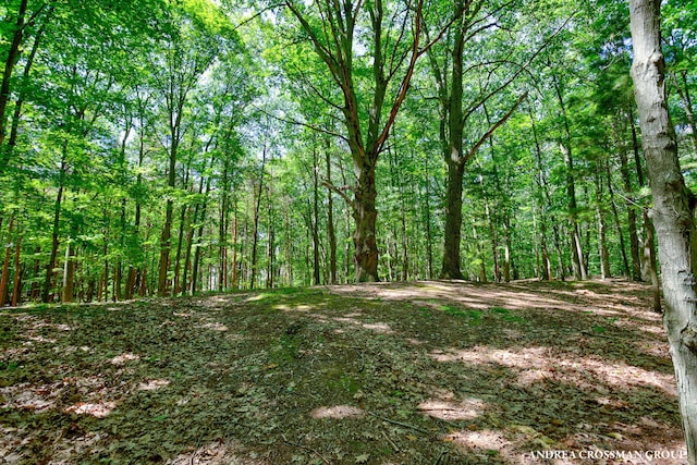 0 Stonebridge Trail 2, Fennville, MI 49408 - photo 1