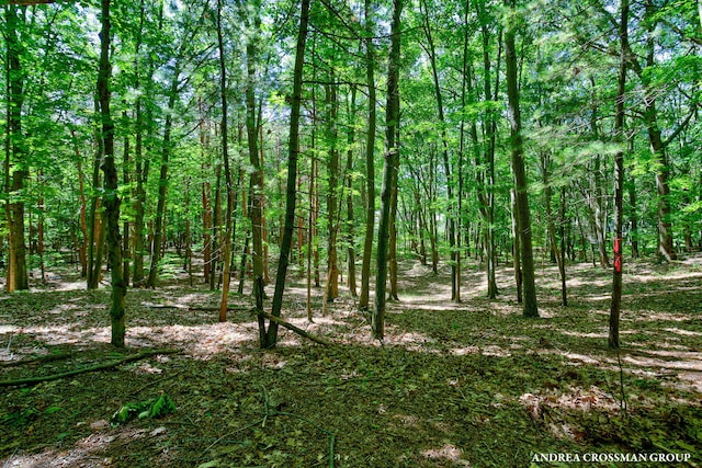 0 Stonebridge Trail 2, Fennville, MI 49408 - photo 2
