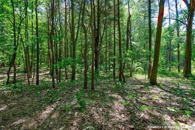 0 Stonebridge Trail 2, Fennville, MI 49408 - photo 3