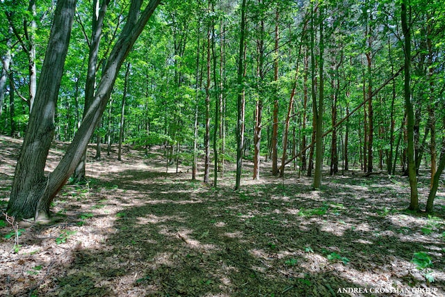0 Stonebridge Trail 2, Fennville, MI 49408 - photo 4