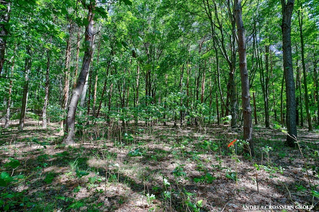 0 Stonebridge Trail 2, Fennville, MI 49408 - photo 5