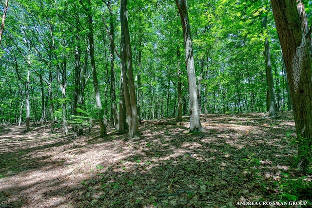 0 Stonebridge Trail 2, Fennville, MI 49408 - photo 14