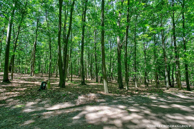 0 Stonebridge Trail 2, Fennville, MI 49408 - photo 13
