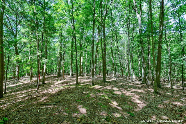 0 Stonebridge Trail 2, Fennville, MI 49408 - photo 15