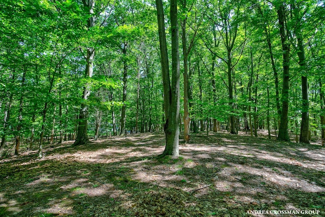 0 Stonebridge Trail 2, Fennville, MI 49408 - photo 16
